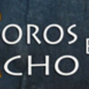 Toros en Acho