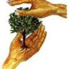 la ferme de Bouchiba مزرعة بوشيبة