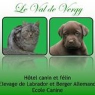 Cédric PUVIS DE CHAVANNES