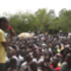 Couleurs tropicales Couleurs tropicales