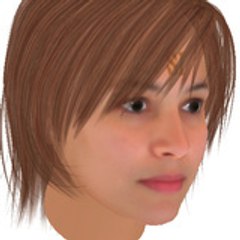 bridg65