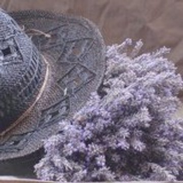 lavendel1001