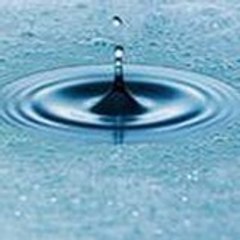 chesneau environnement