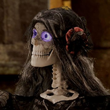 Sindy Skinless
