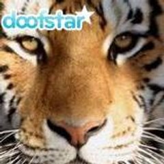 indianstarboy