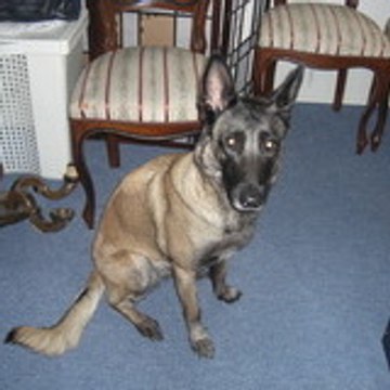 Marie-france Auderset