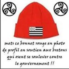 collectif Paluché