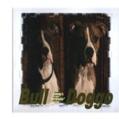 Buldoggo