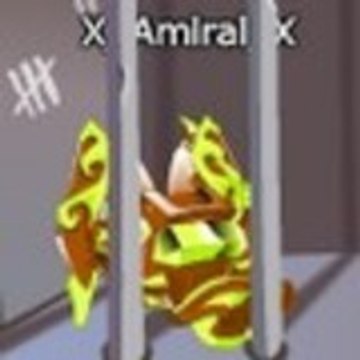 X_Amiral_X X_Amiral_X