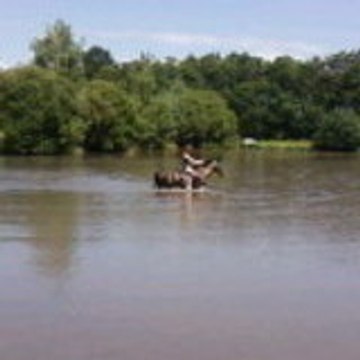 0liiver