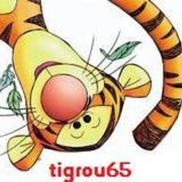 tigrou_test