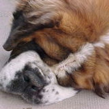 Jean-François Ferry