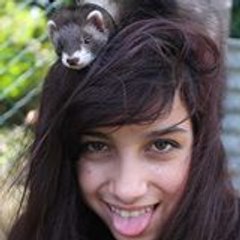 juju ca te regarde pas