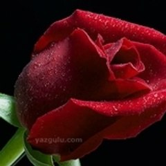 yanlizim_mustafa