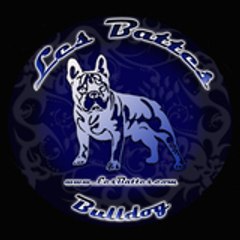 lesbattesbulldog