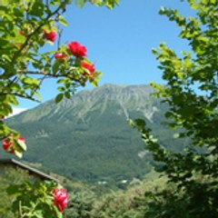 gitealpessud