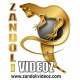 zandoli