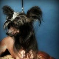 mireille