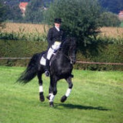 Stal Groot Prooyen