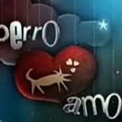 Perro_Amor