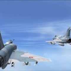 Flight_and_Life