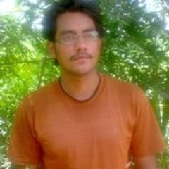 Syed Najeeb Hassan
