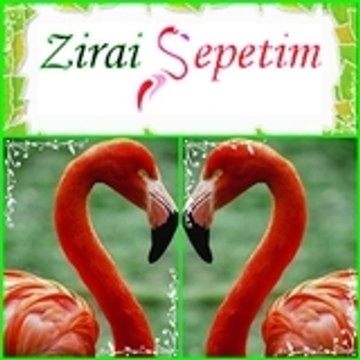 www.ZiraiDanismanlik.com