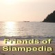 Friends_of_SIAMPEDIA