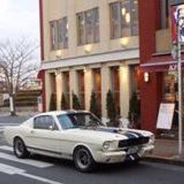 csauto_mustang
