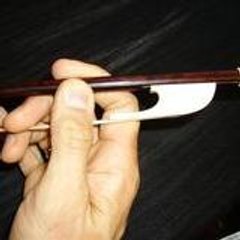 den-haag-violadagamba