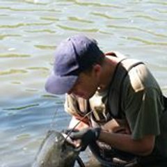 Vincentcorsa Vincentcorsa