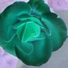 racheter1