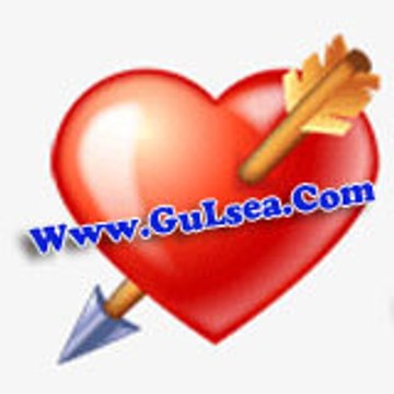 GuLsea Com