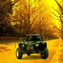 Buggy Bxr Dasyconcept