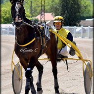 Easy Star Vs Fan de star ..en Carriére de course