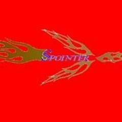 spointer entreprise