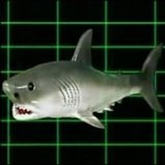 Jaws2 2011