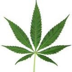 kushinator420