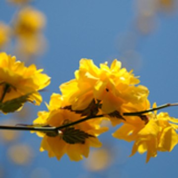 regionales2010 Europe Ecologie