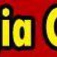 Georgia Carpet Industries