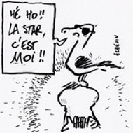 Pierre Pierre Echevin