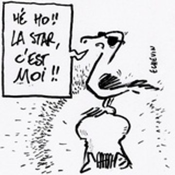 Pierre Pierre Echevin