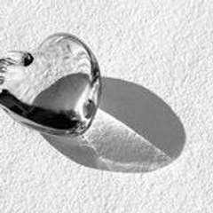 Transparentemotion