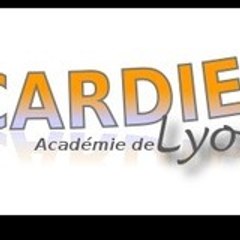 pôle Dfie de l'académie de lyon