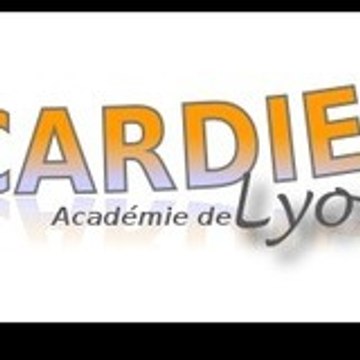 pôle Dfie de l'académie de lyon