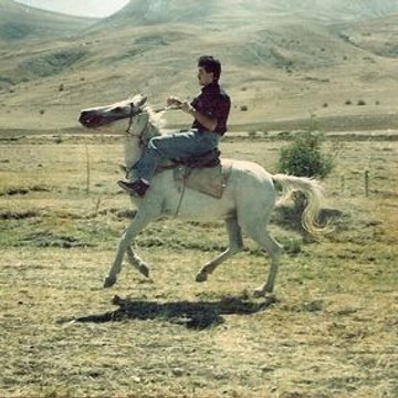 sebahaddin