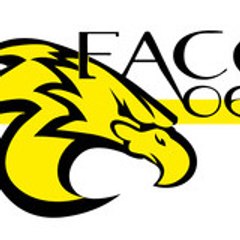 FACE 06