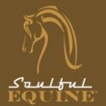 Soulful Equine