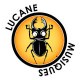 Lucane Musiques
