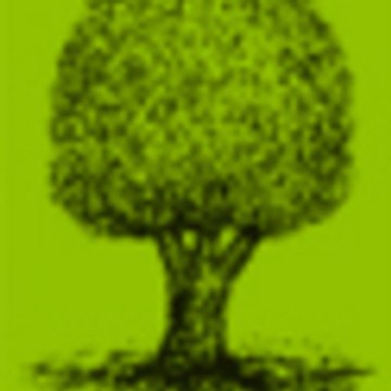 Fondation Judaïsme Français